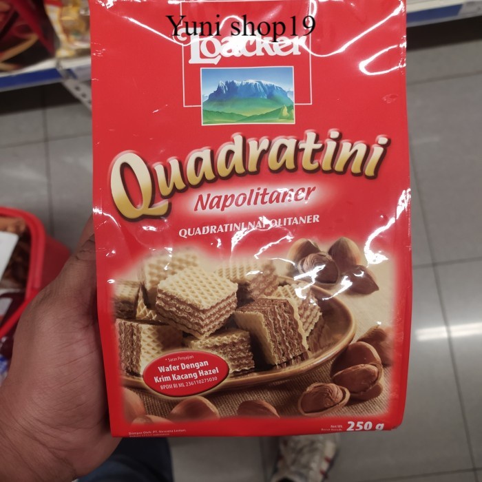 

loacker quadratini napolitaner 250gr