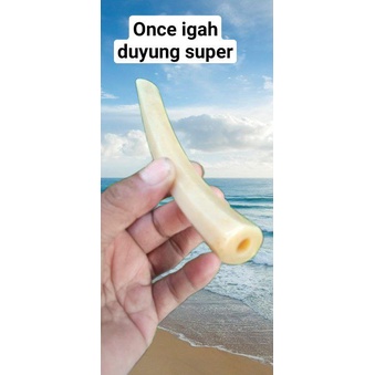 once igah duyung super
