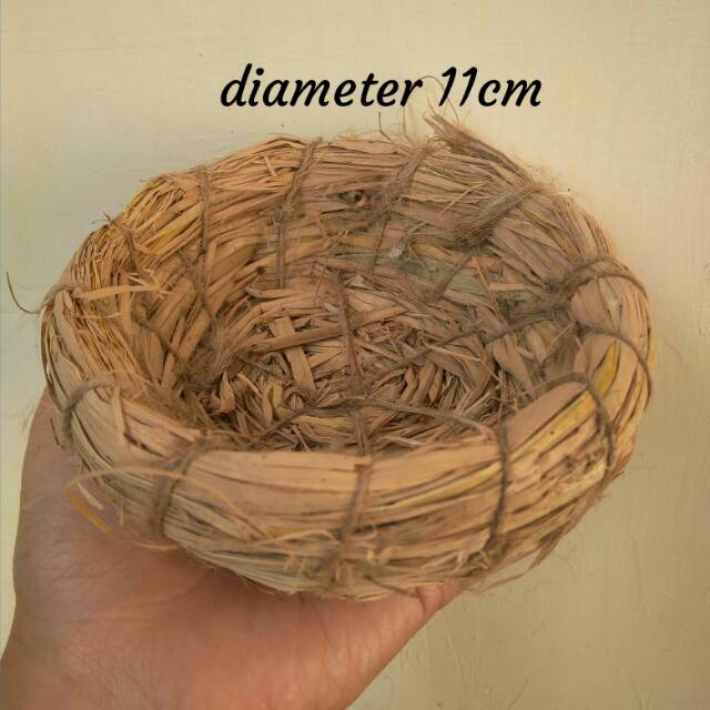 Sarang burung kenari susuh burung alas tempat cincin lamaran