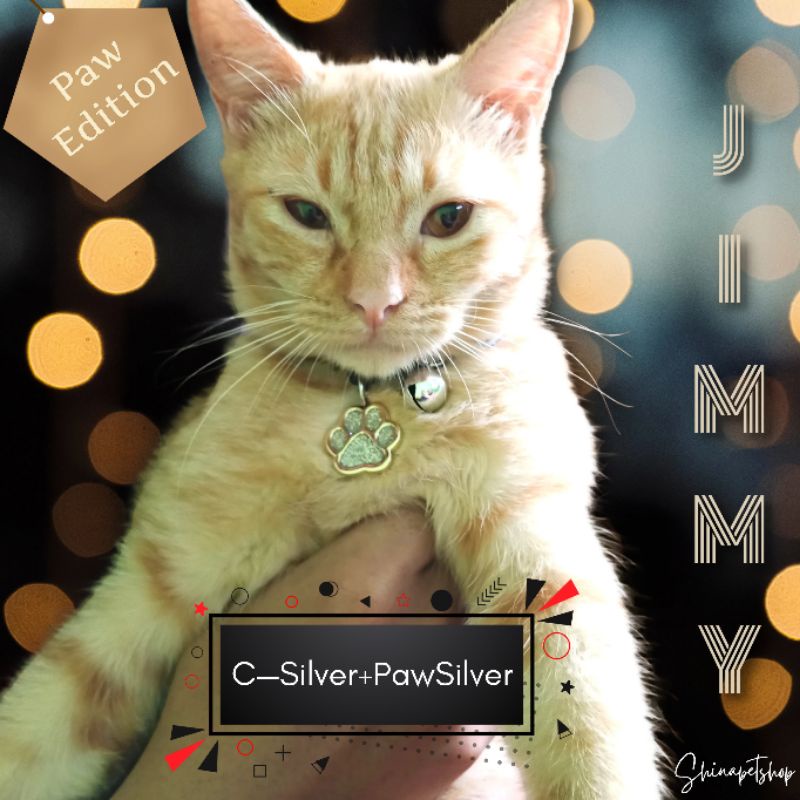 Kalung Kucing Paw