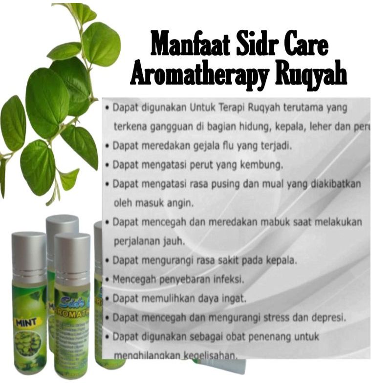 Sidr Care Aromaterapi - Bidara Oles