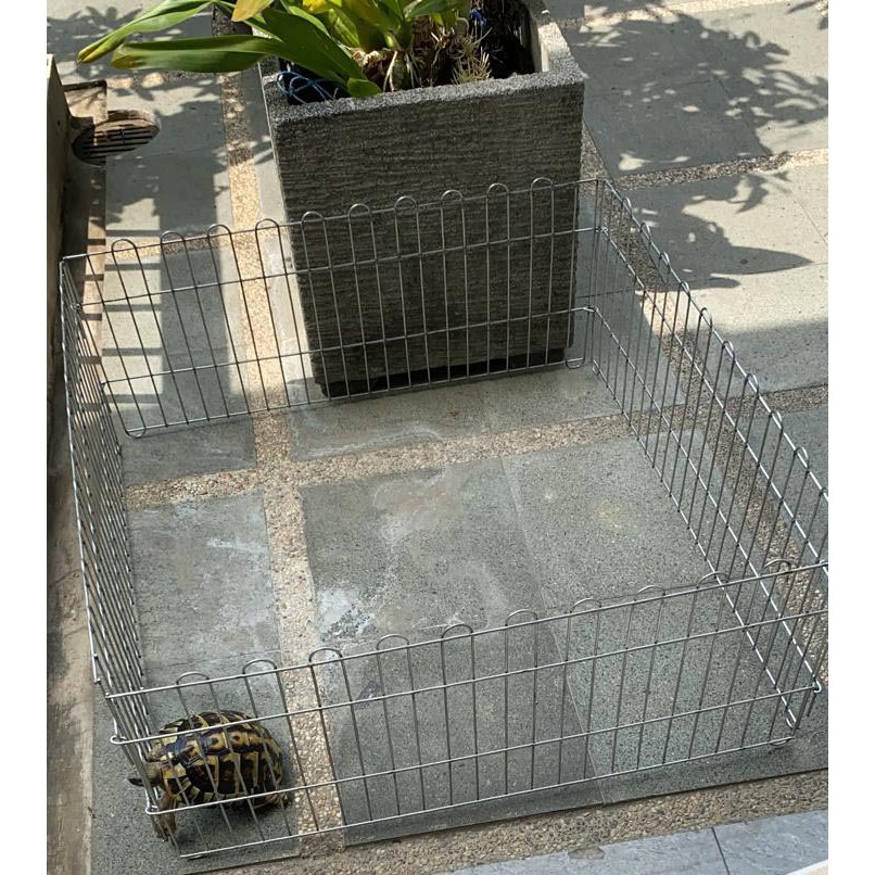 PAGAR LIPAT KURA LEMBARAN Galvanis Hewan Kura- Kandang Torto Sulcata- Bahan Galvanis