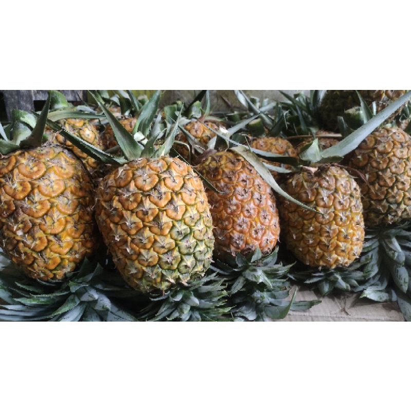 

NANAS SIMADU