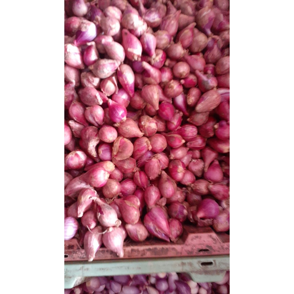 Bawang Merah 1/2kg