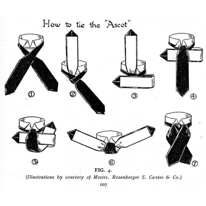 HOUSEOFCUFF  DASI ASCOT TIE ASCOT / CRAVAT TIE MAROON