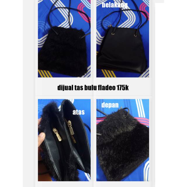 Tas bulu fladeo