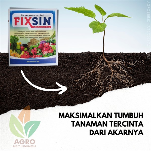 Bubuk ZPT FIXSIN Akar Tanaman