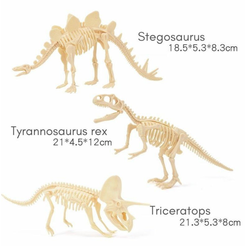 PROMO mainan dig dinosaur fossil toy