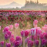 ummuabdurrahmanfaqih