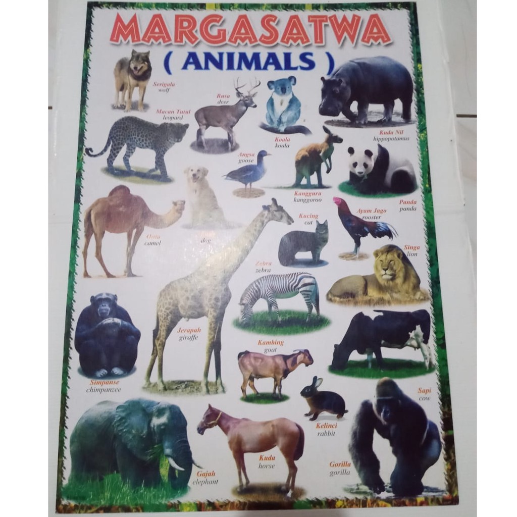 Poster Tema Hewan - Hewan Margasatwa