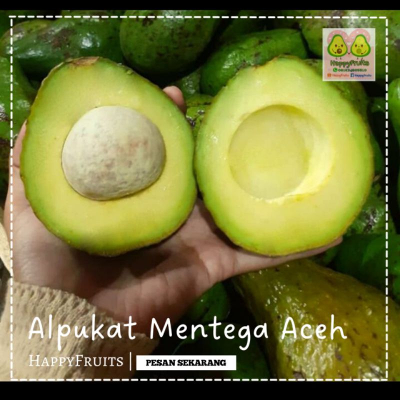 

BUAH ALPUKAT MENTEGA ACEH 1KG