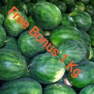 

Semangka Non Biji Uk 3 kg + Gratis Bonus