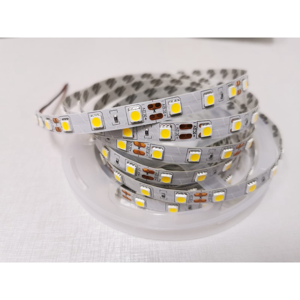 Led Strip 5050 IP33 12V