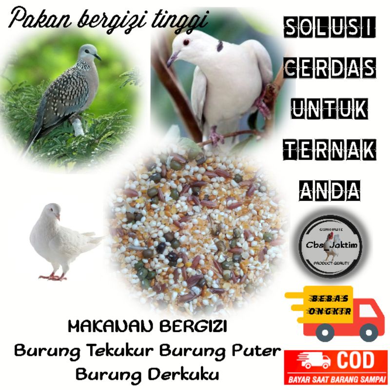pakan burung derkuku/tekukur/pelung albino/puter/pakan bergizi tinggi/kualitas terbaik