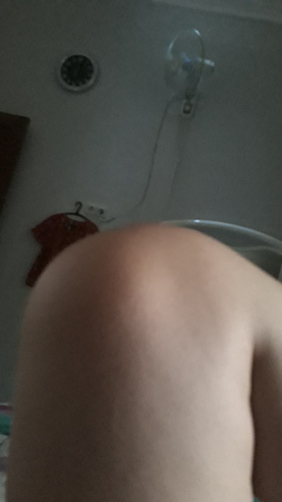 Wall Sticker 163 Birds Of Spring