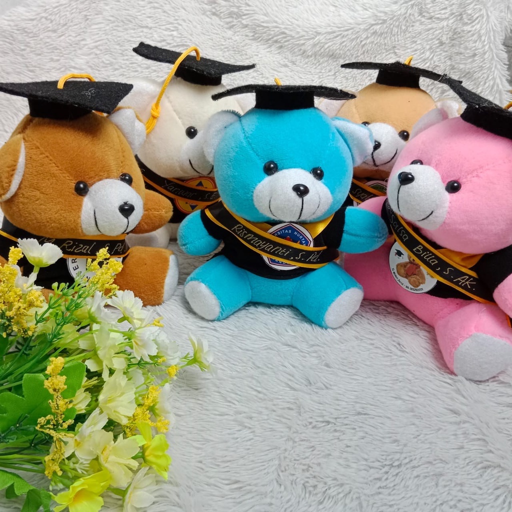 BONEKA WISUDA GEMOY | HADIAH WISUDA | BONEKA POLOSAN | TEDDY BEAR GEMOY | BONEKA GEMOY TOGA