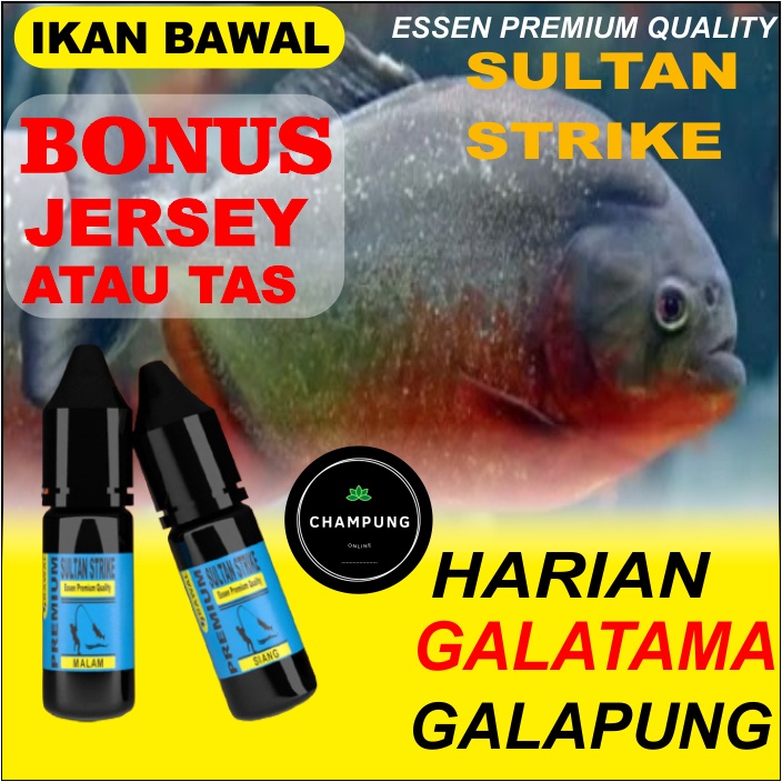 ESSEN IKAN BAWAL SULTAN STRIKE PAKET SIANG MALAM UMPAN PANCING LOMBA MEMANCING GALATAMA DAN GALAPUNG