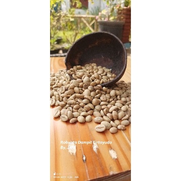 Green Bean Robusta Dampit Malang