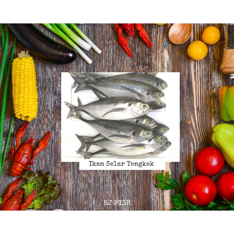 Ikan Laut Selar Tengkek Utuh Beku RJ Fish