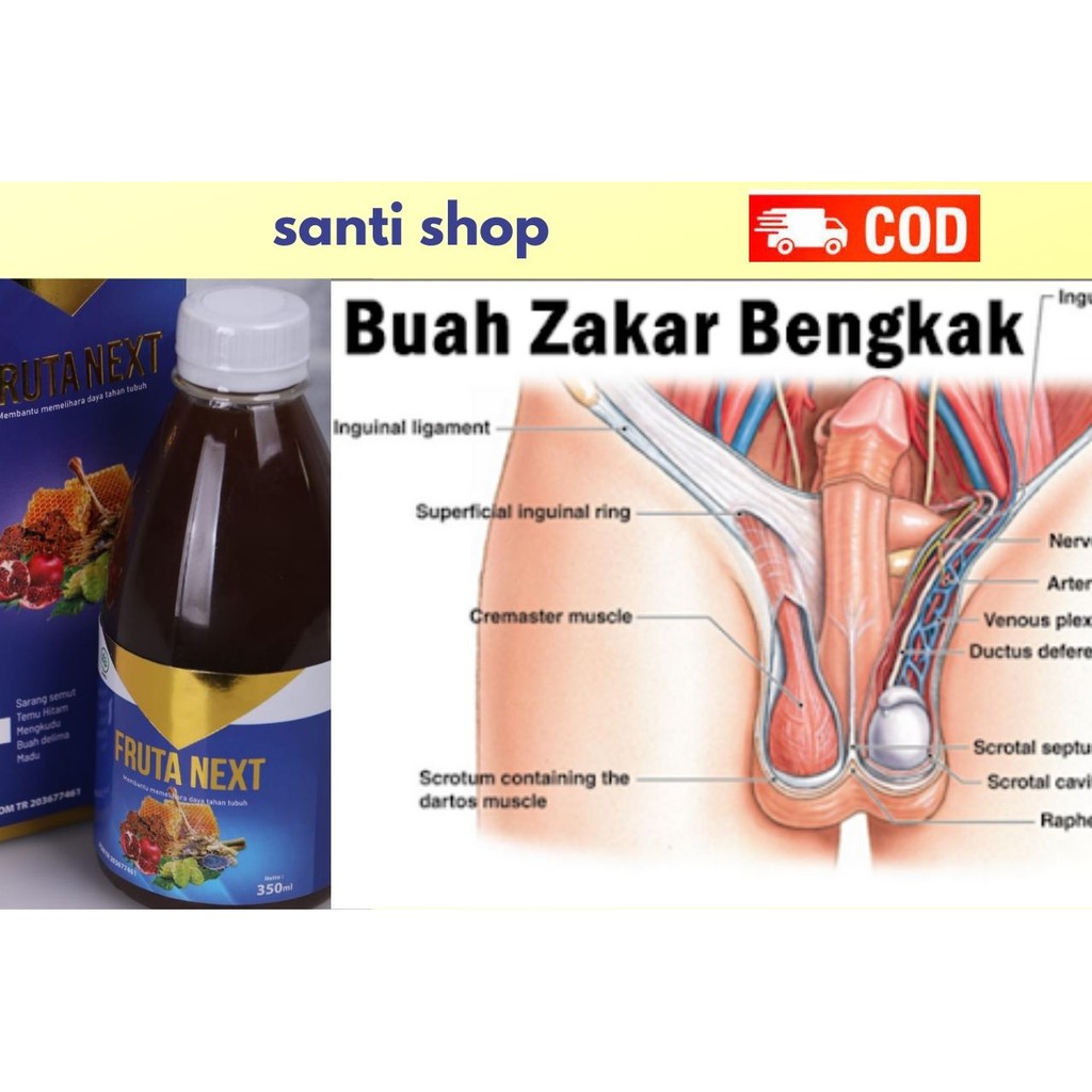 Obat Hidrokel - Biji Zakar Bengkak -FRUTANEXT Herbal Alami - Original
