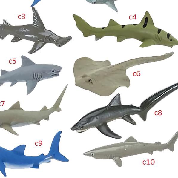 Hpb Mainan Hewan Binatang Laut Ikan Hiu Paus Lumba Anjing Laut