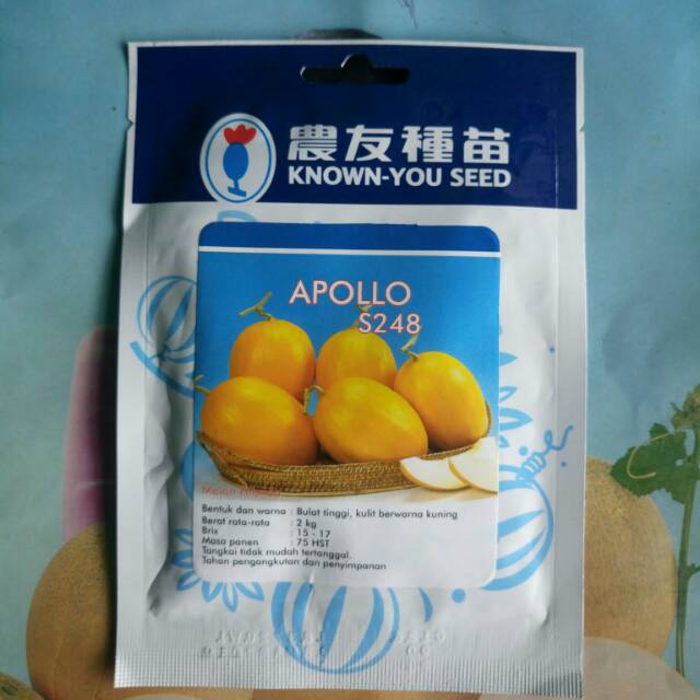 Benih Bibit Melon Golden APOLLO 20gr