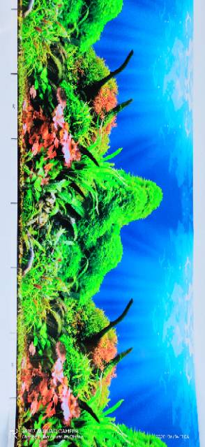 Gambar background hiasan dinding Aquarium tinggi 30cm panjang 1 meter (RANDOM)