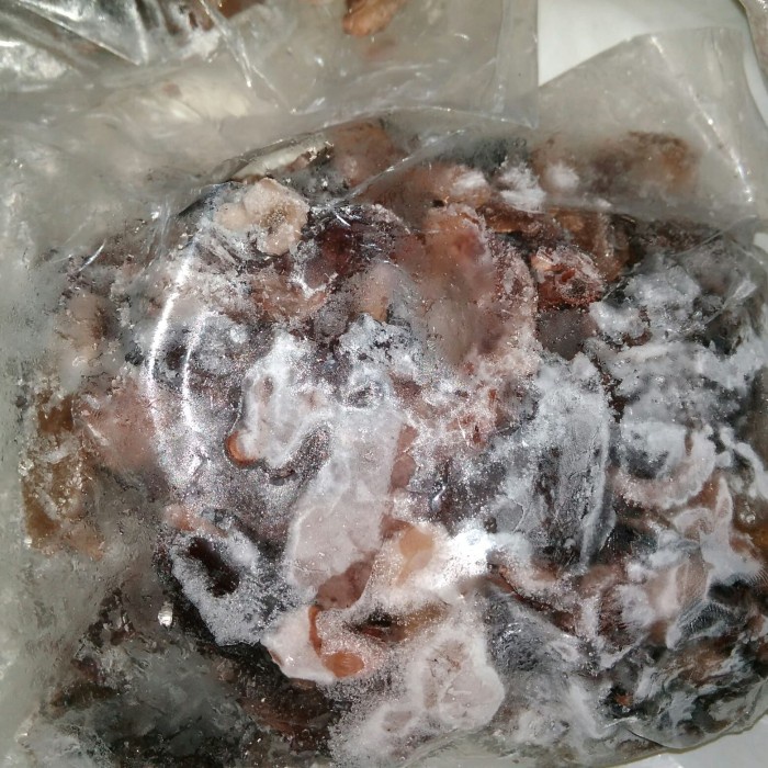 

f0fbfe0 Octopus 500 Gr Gurita Isi Takoyaki Dll Gosend Ds1Gkk