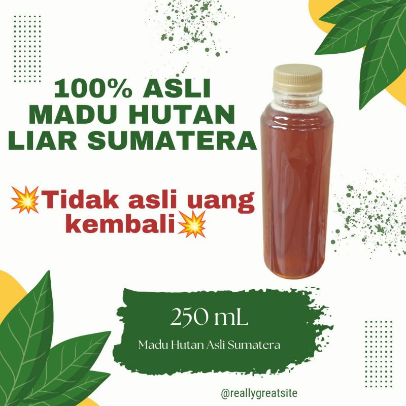 

Madu hutan liar Sumatra/Musi Banyuasin