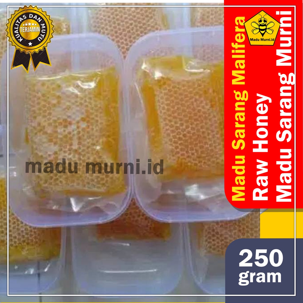 

Sarang madu malifera madu sarang asli murni hutan per box 250gr