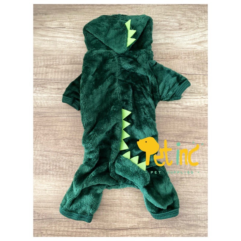 Dinosaurus sleep wear