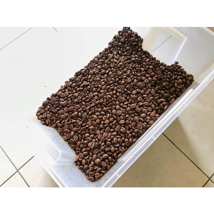 

Jasa Roasting Kopi 1 Kg Green Bean Roaster Coffee Arabica Robusta