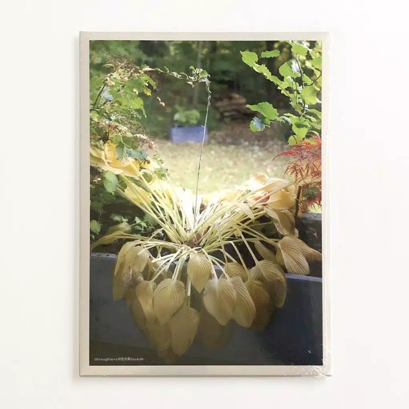 [PREORDER] HYUKOH - THROUGH LOVE