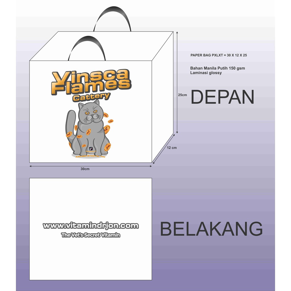 

PAPER BAG PXLXT = 30 X 12 X 25