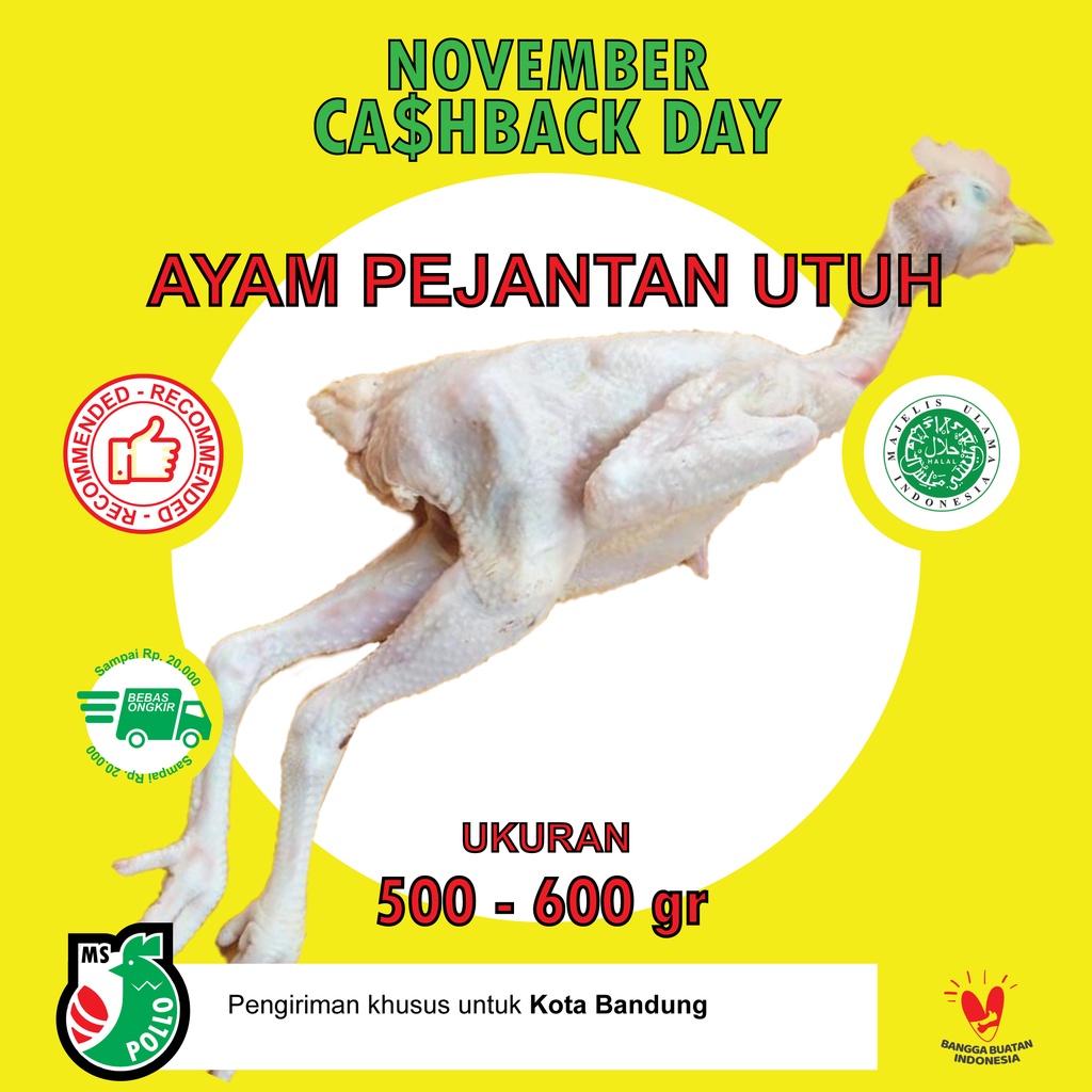 

AYAM PEJANTAN UTUH FROZEN