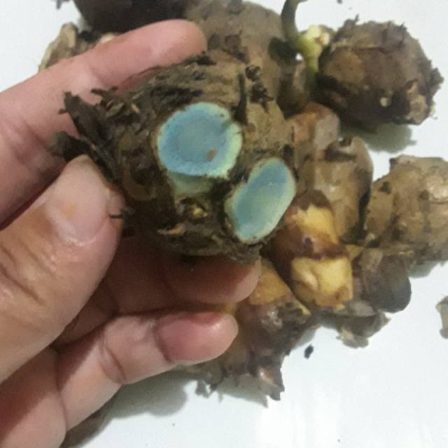Temu ireng,kunyit ireng (500 gr)