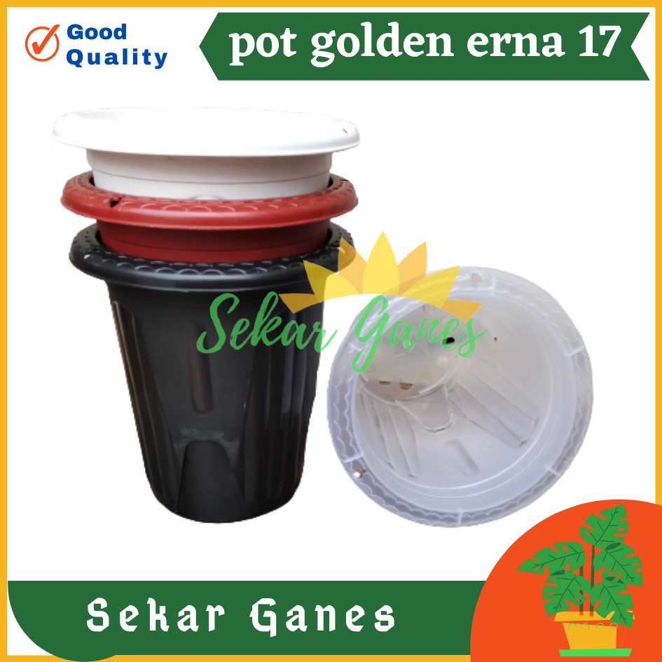 Pot Golden Erna 17 Putih Hitam Coklat Merah Bata Terakota - Pot Yogap 15 17 Murah