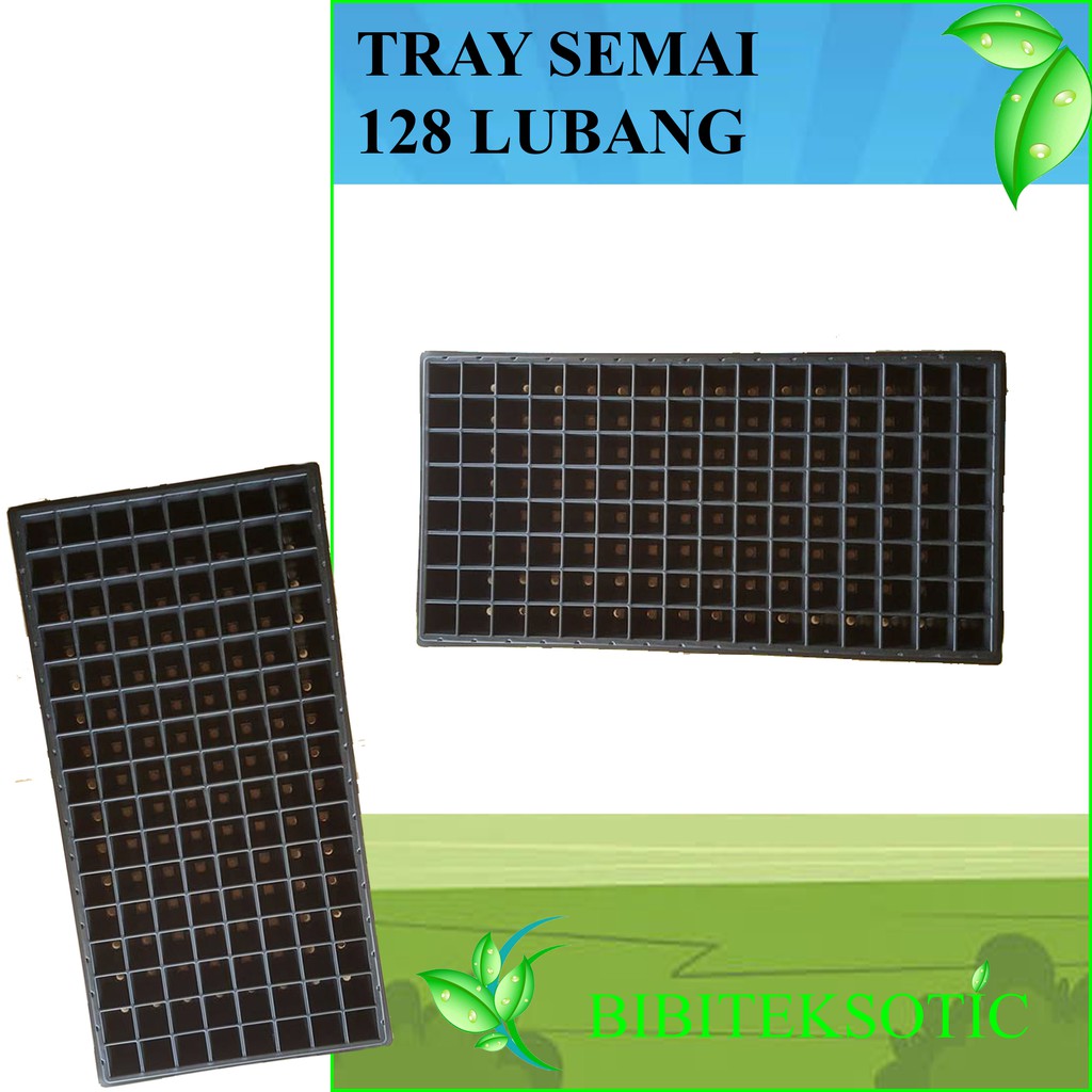 Tray Semai 128 Lubang