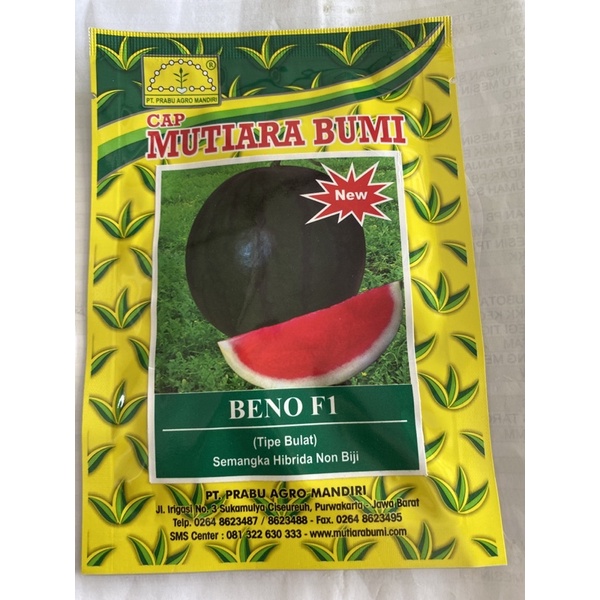 semangka non biji Beno F1