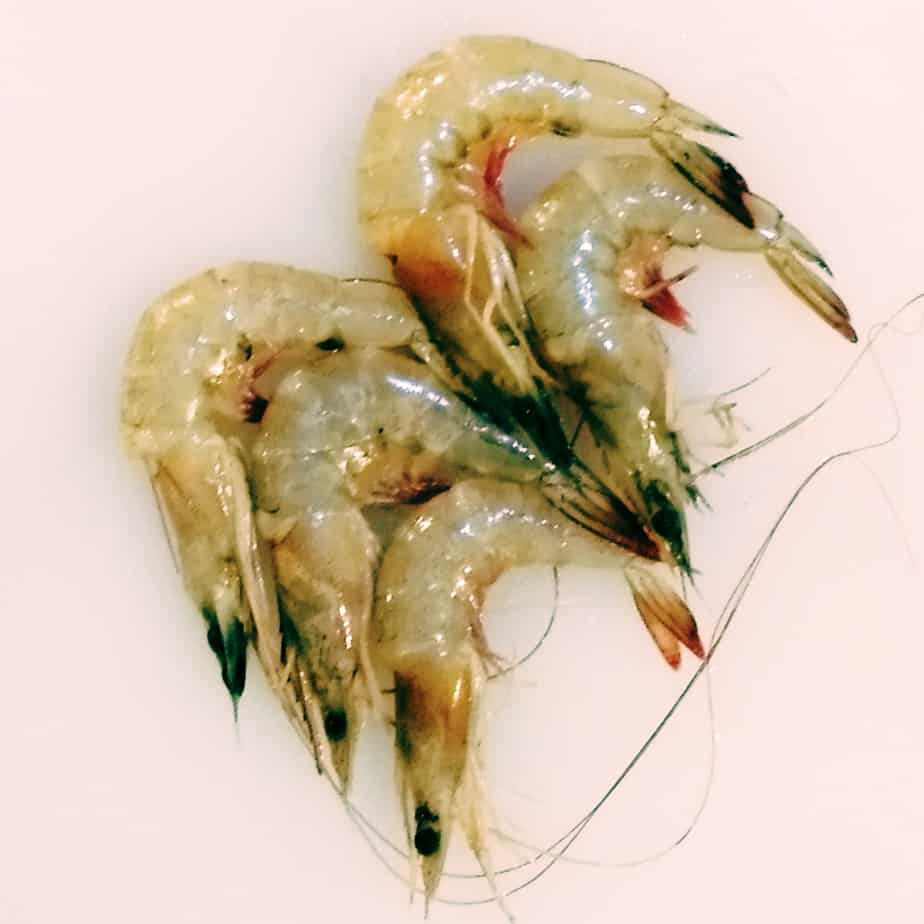 

Udang peci size 50-60 - 0,5 kg