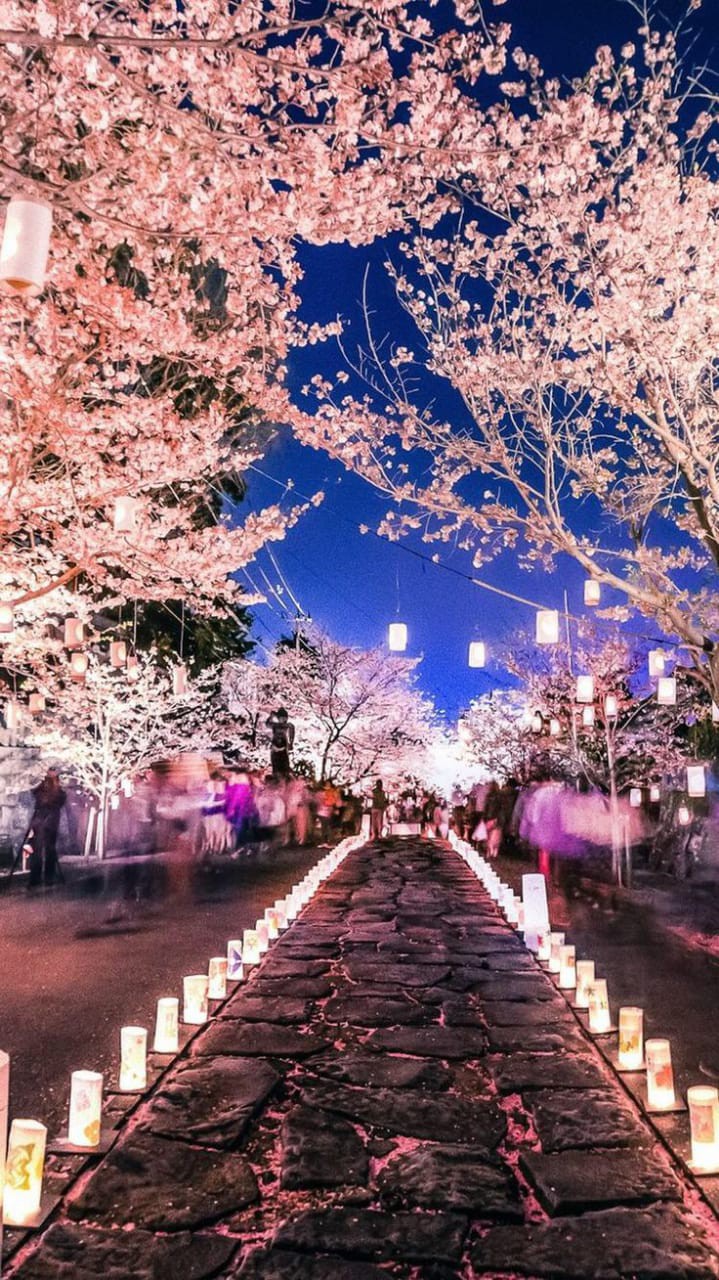 Kemeja Arrival Terbaru Berkualitas-new Produk//trendy