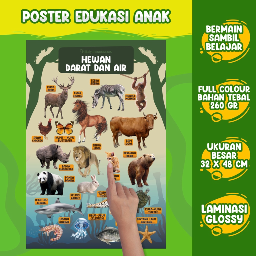 

Hijaiyah Poster anak, Poster edukasi, Poster Pengenalan Hewan Darat dan Air