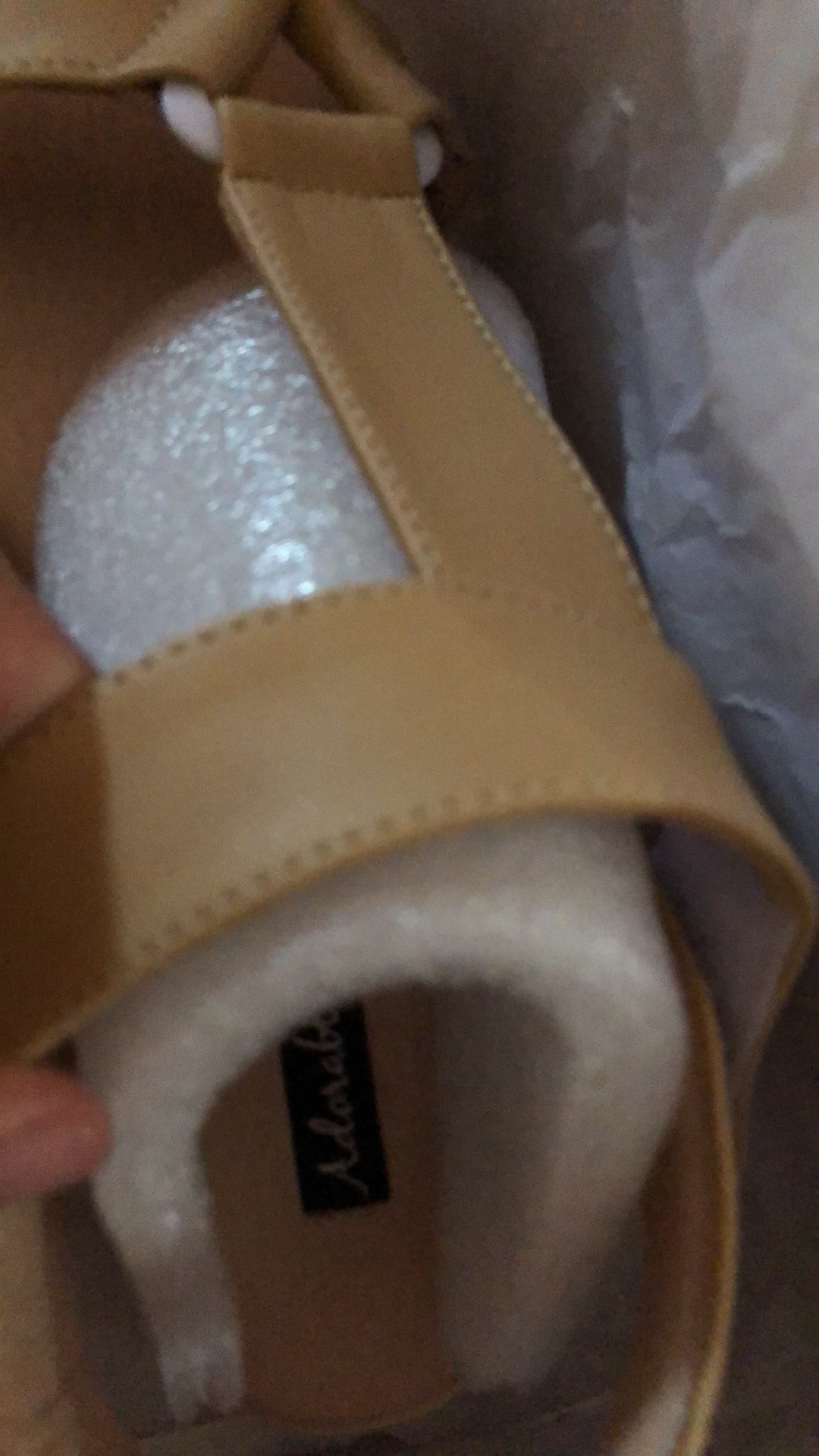 Corollea Platform Camel