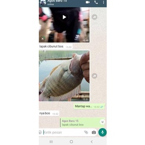 [PRODUK CYD9J] Umpan ikan nila paling jitu NS produk raja kroto cirata 07D