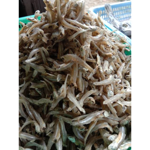 

Teri Tawar Medan