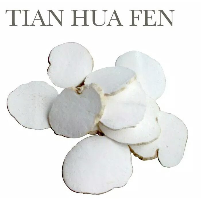 

600 G GR GRAM TIAN HUA FEN 天花粉片 TRICHOSANTHES SNAKEGOURD ROOT