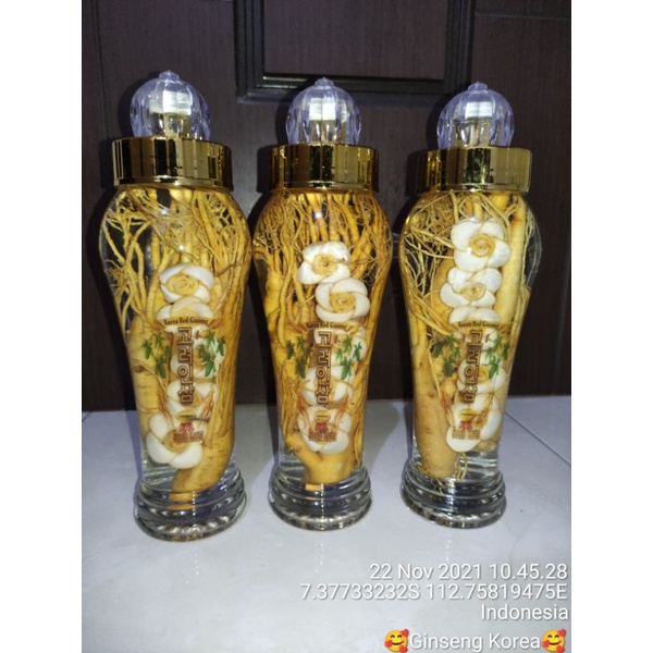 

Gingseng korea motif bunga