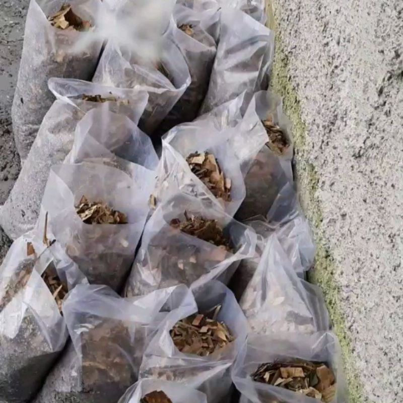 Media tanam daun bambu isi 500 gram