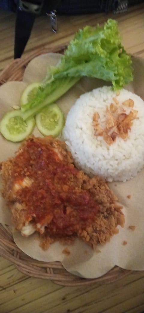 Tanaman Hias Pucuk Merah