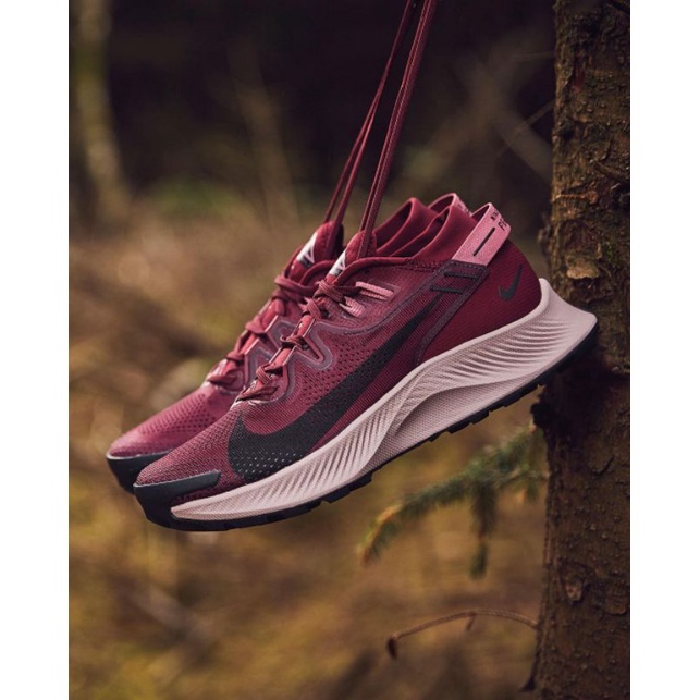 SEPATU NIKE ZOOM PEGASUS TRAIL 2